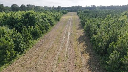 Farm Property for sale in Bertie County, North Carolina