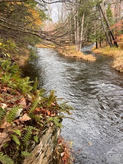 Farm Property for sale in Greene County, New York