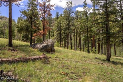 Farm Property for sale in Apache County, Arizona
