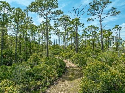 Farm Property for sale in Franklin County, Florida