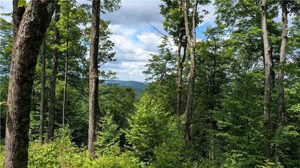 Recreational Property for sale in Delaware County, New York