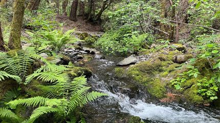 Farm Property for sale in Sierra County, California