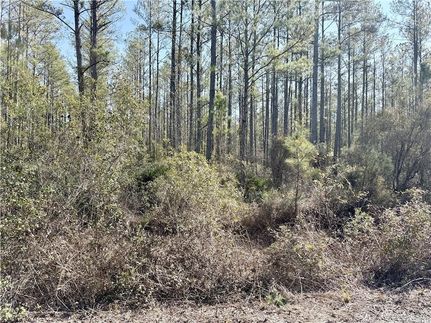 Farm Property for sale in Brantley County, Georgia