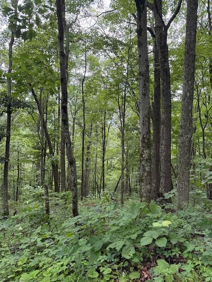 Farm Property for sale in Marion County, West Virginia
