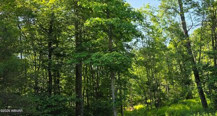 Farm Property for sale in Clinton County, Pennsylvania