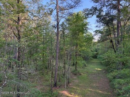 Ranch Property for sale in Scott County, Mississippi