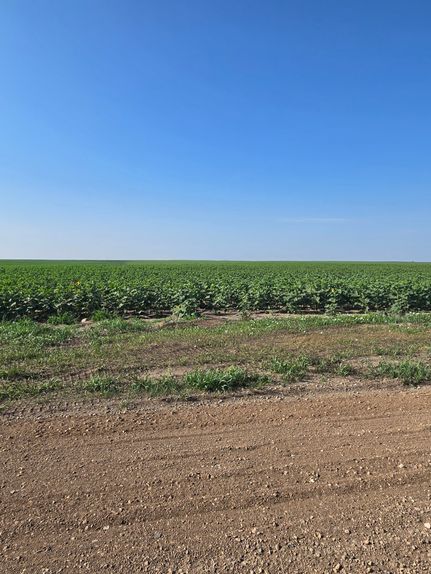 Farm Property for sale in Sully County, South Dakota