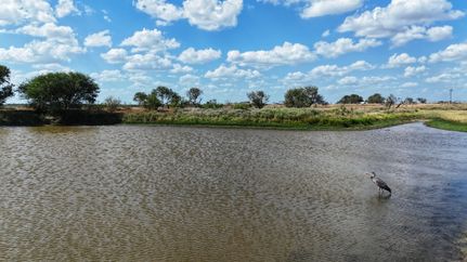 Farm Property for sale in Wilson County, Texas
