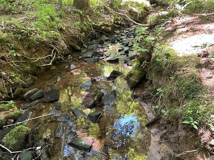 Recreational Property for sale in Jackson County, Alabama