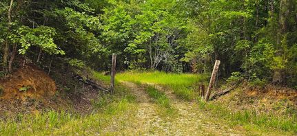 Ranch Property for sale in Hardeman County, Tennessee