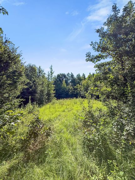Ranch Property for sale in Holmes County, Mississippi