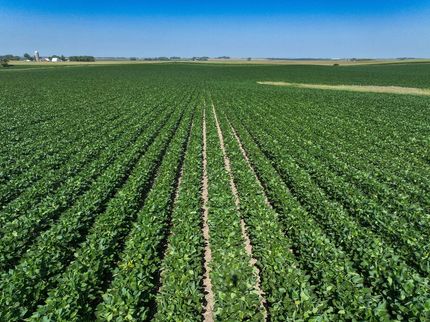 Timberland Property for sale in Palo Alto County, Iowa