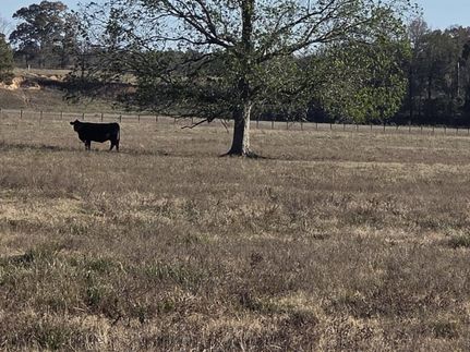 Ranch Property for sale in McCurtain County, Oklahoma