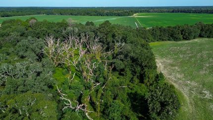 Farm Property for sale in Early County, Georgia