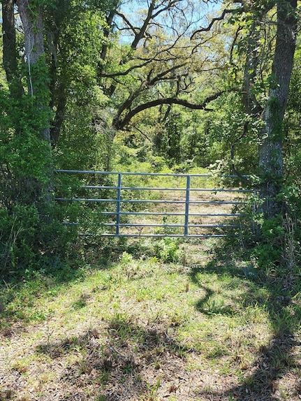 Farm Property for sale in Dixie County, Florida