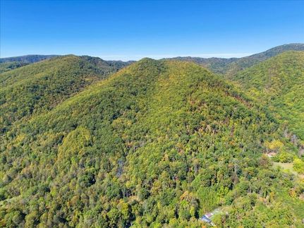Undeveloped Land for sale in Smyth County, Virginia