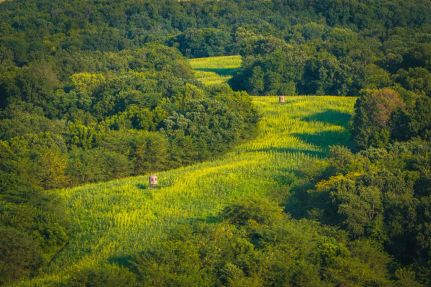 Ranch Property for sale in Pike County, Illinois