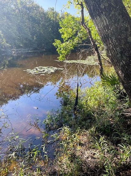 Ranch Property for sale in San Jacinto County, Texas