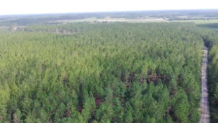 Farm Property for sale in Ware County, Georgia