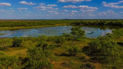 Farm Property for sale in Baylor County, Texas