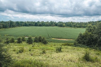 Timberland Property for sale in Scotland County, Missouri