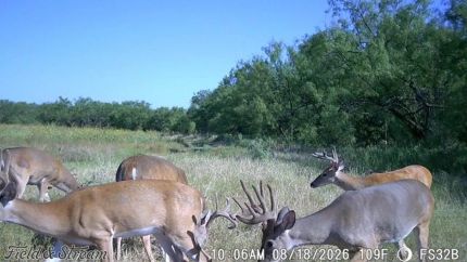 Ranch Property for sale in Runnels County, Texas