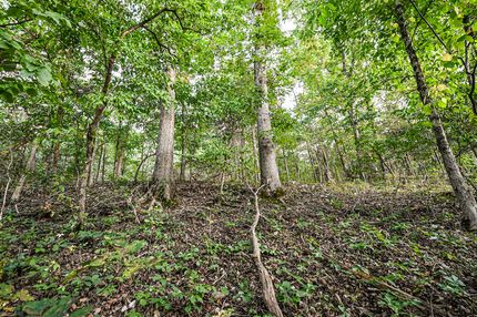 Ranch Property for sale in Ozark County, Missouri