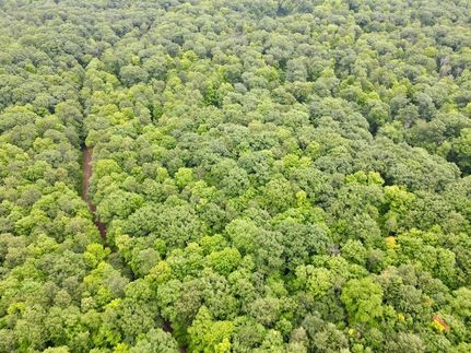 Farm Property for sale in Lincoln County, Wisconsin