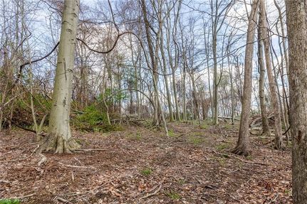Recreational Property for sale in Richland County, Ohio
