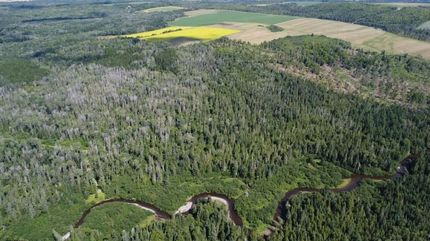 Farm Property for sale in Aroostook County, Maine