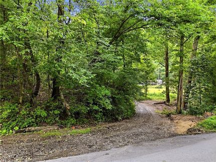 Undeveloped Land for sale in Clay County, West Virginia
