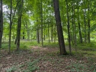 Ranch Property for sale in Saratoga County, New York
