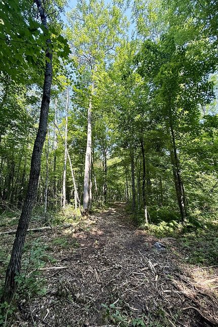 Farm Property for sale in Douglas County, Wisconsin