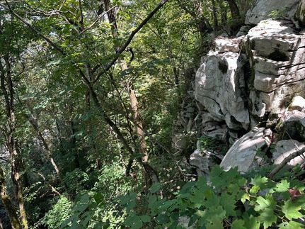 Residential Property for sale in Jackson County, Alabama