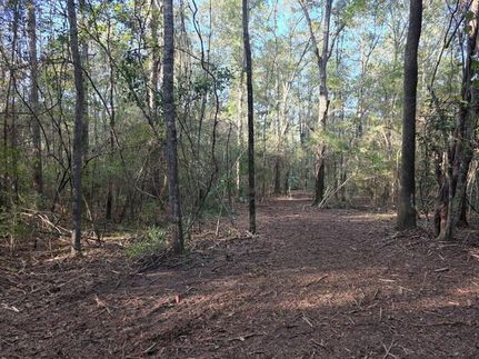 Farm Property for sale in Geneva County, Alabama