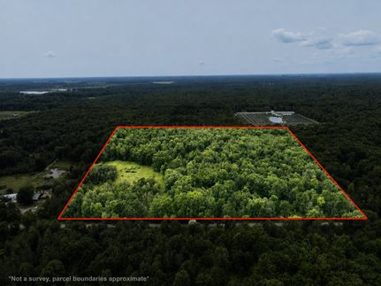 Timberland Property for sale in Arenac County, Michigan