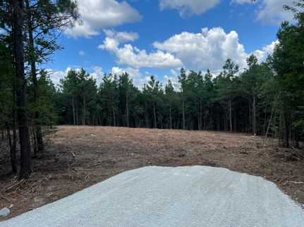 Undeveloped Land for sale in Benton County, Tennessee