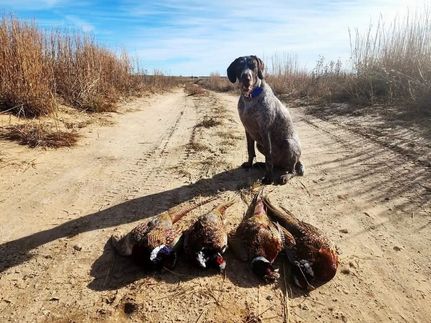 Ranch Property for sale in Stevens County, Kansas