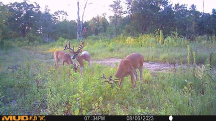 Farm Property for sale in Franklin County, Arkansas