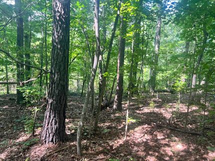 Farm Property for sale in Wilkes County, Georgia