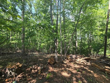 Farm Property for sale in Bedford County, Virginia
