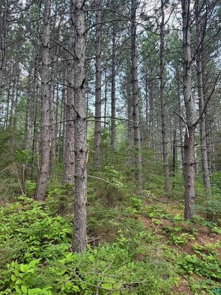 Farm Property for sale in Cook County, Minnesota