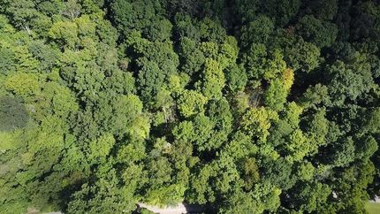 Ranch Property for sale in Scioto County, Ohio