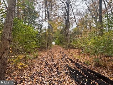 Timberland Property for sale in Ocean County, New Jersey