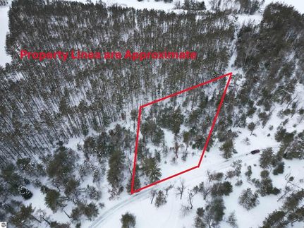 Farm Property for sale in Oscoda County, Michigan