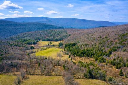 Recreational Property for sale in Delaware County, New York