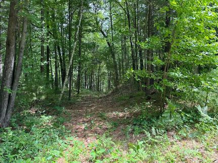 Ranch Property for sale in Burnett County, Wisconsin