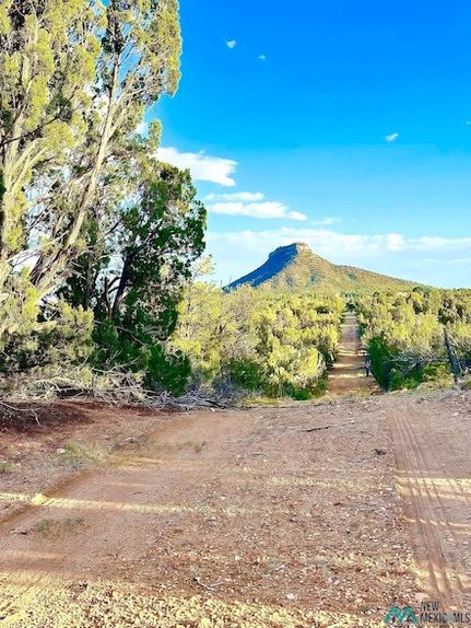 Timberland Property for sale in San Miguel County, New Mexico