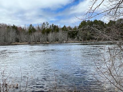 Timberland Property for sale in Penobscot County, Maine