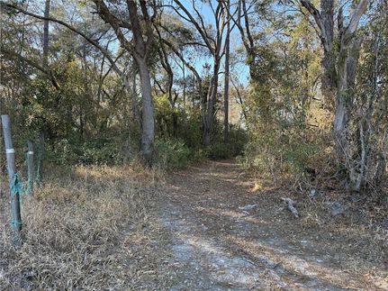 Recreational Property for sale in Levy County, Florida